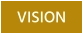 VISION